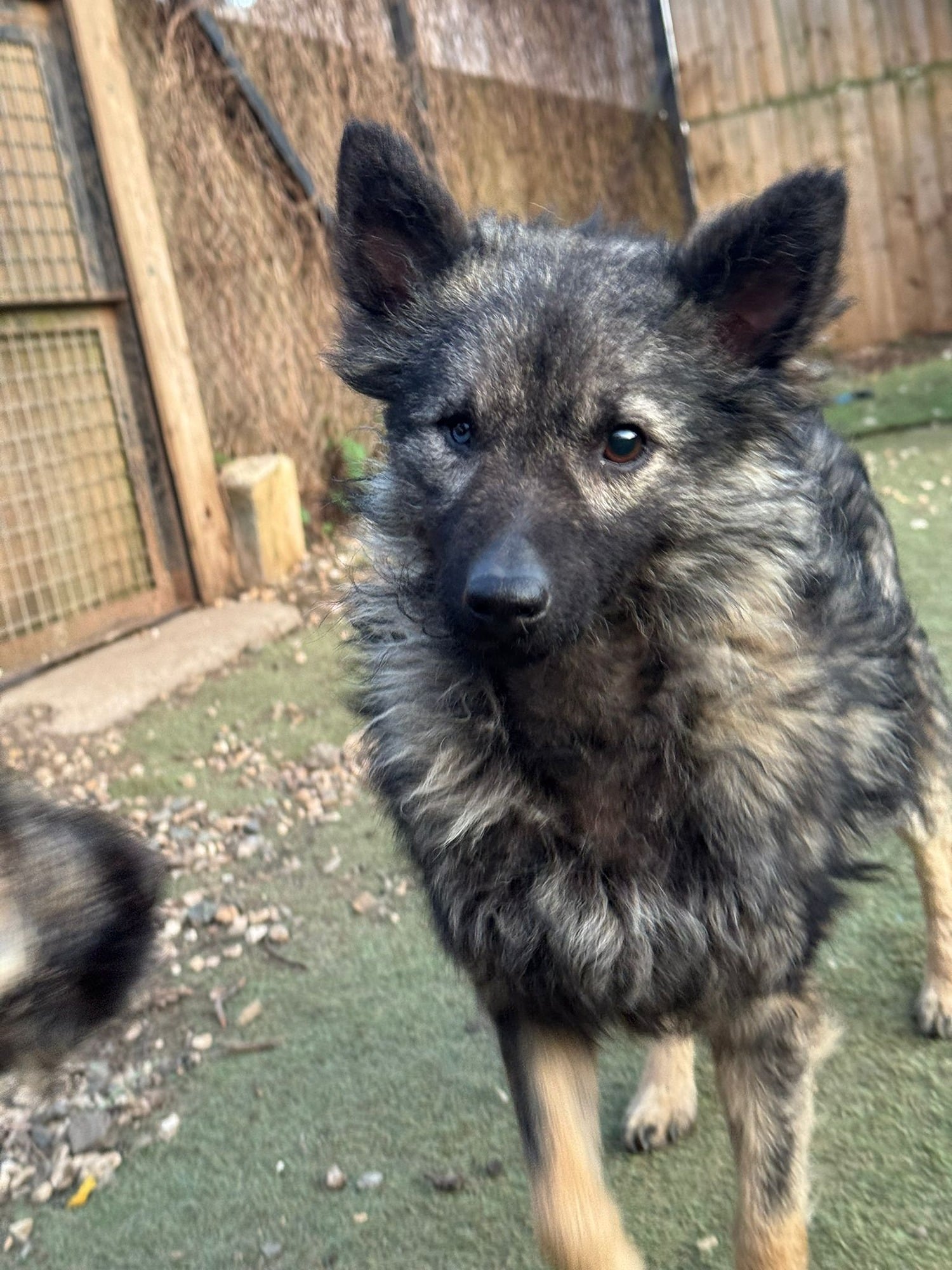 30aefd11-14bb-4863-a491-416b5d179eab-1_all_22164