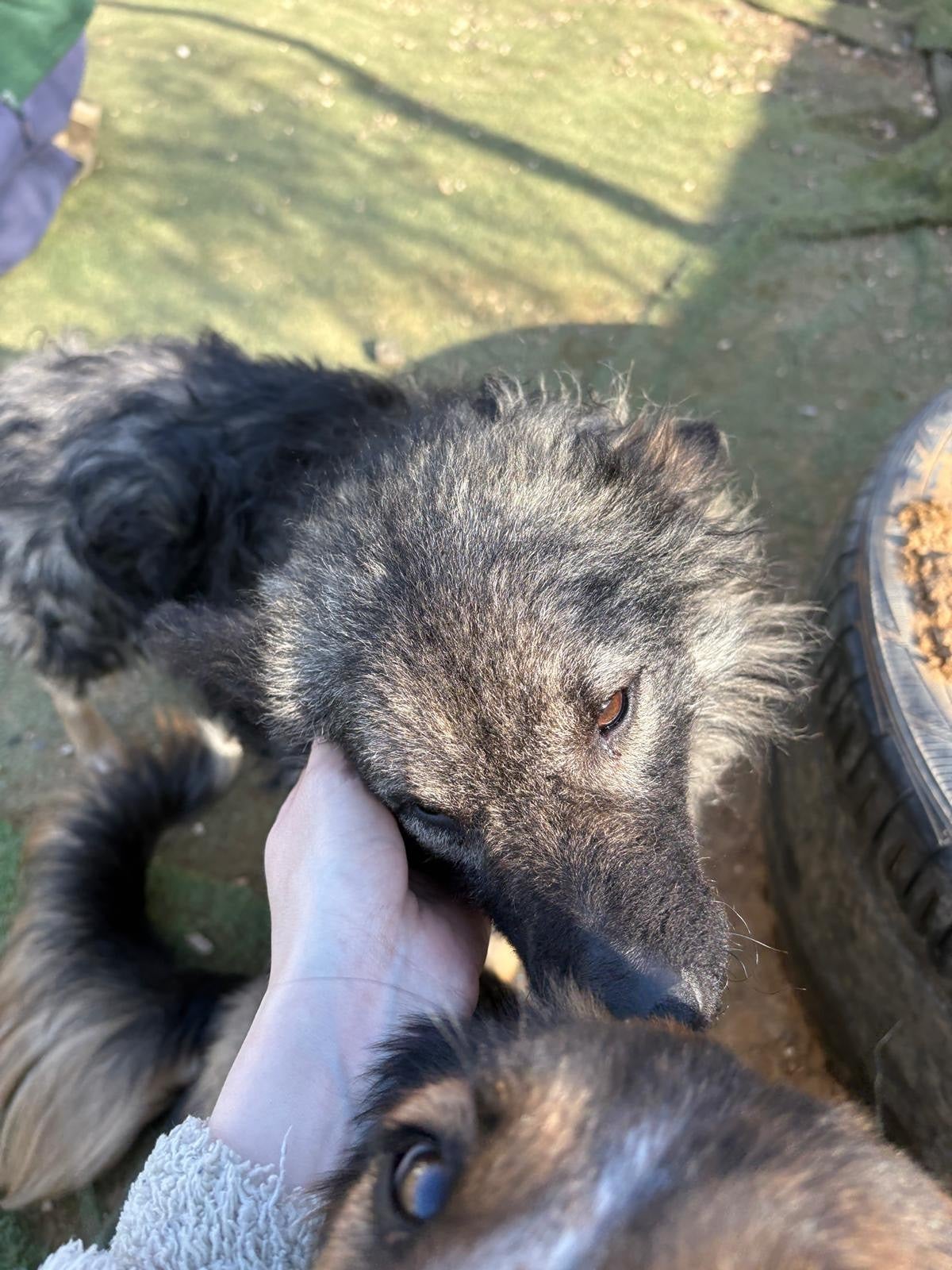 30aefd11-14bb-4863-a491-416b5d179eab-1_all_21943