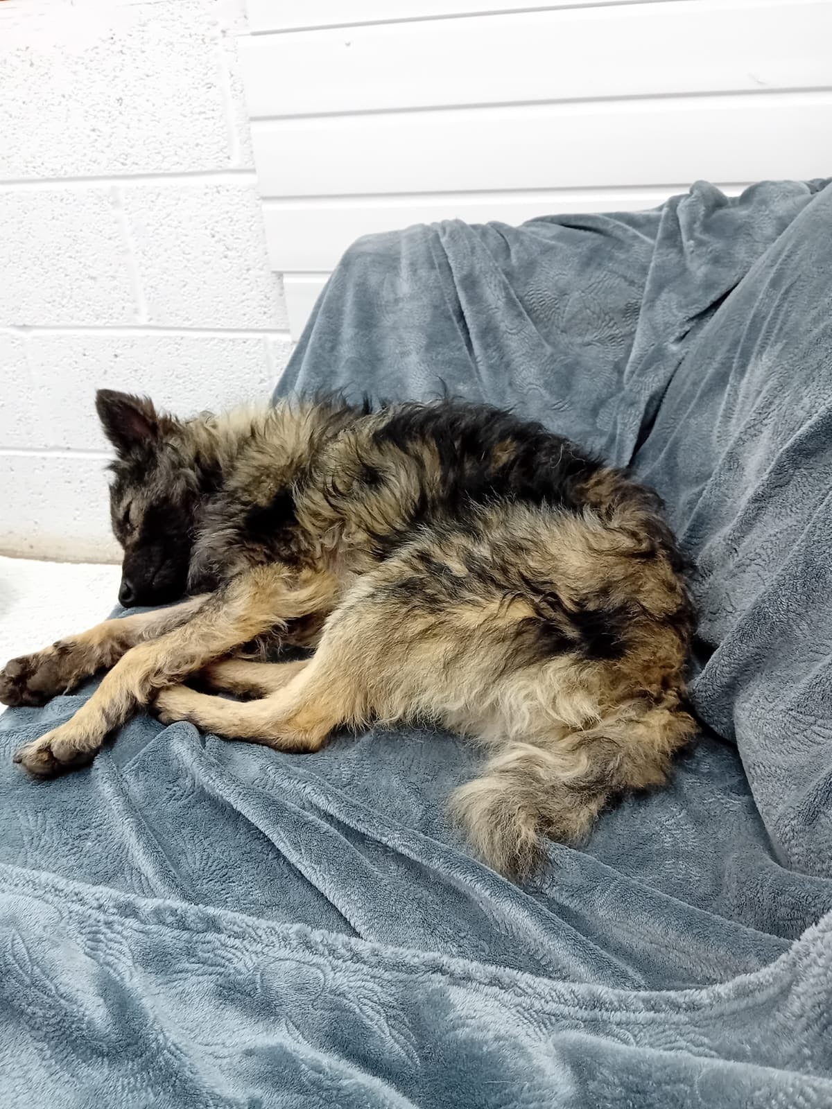 30aefd11-14bb-4863-a491-416b5d179eab-1_all_22109