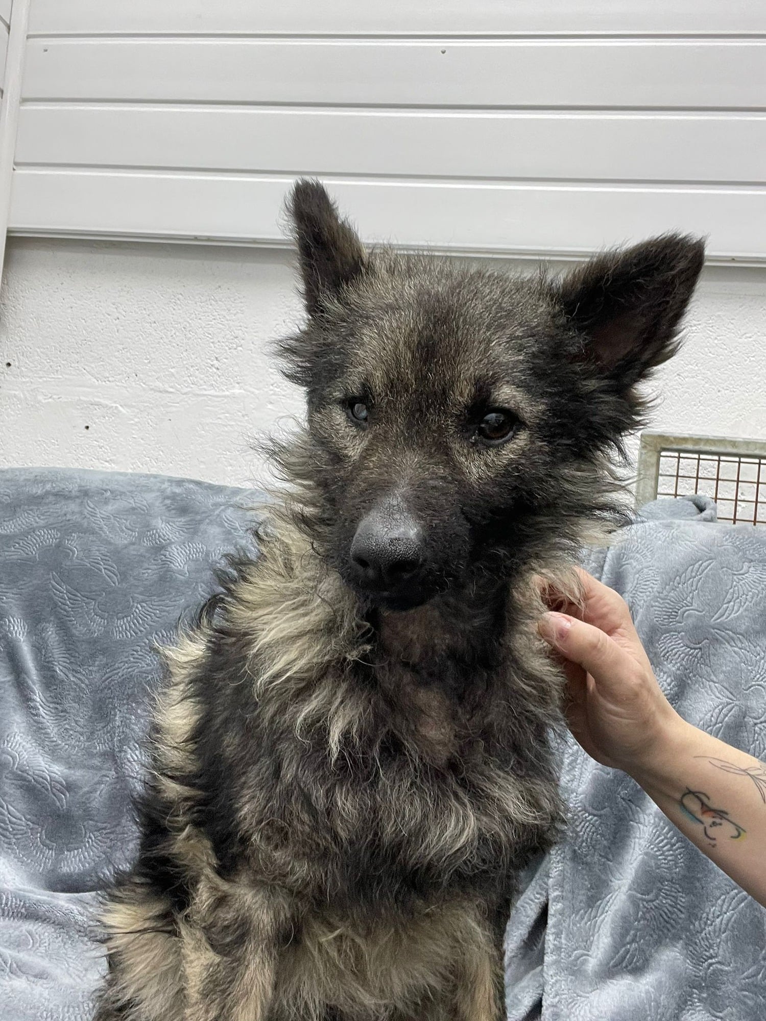 30aefd11-14bb-4863-a491-416b5d179eab-1_all_22112