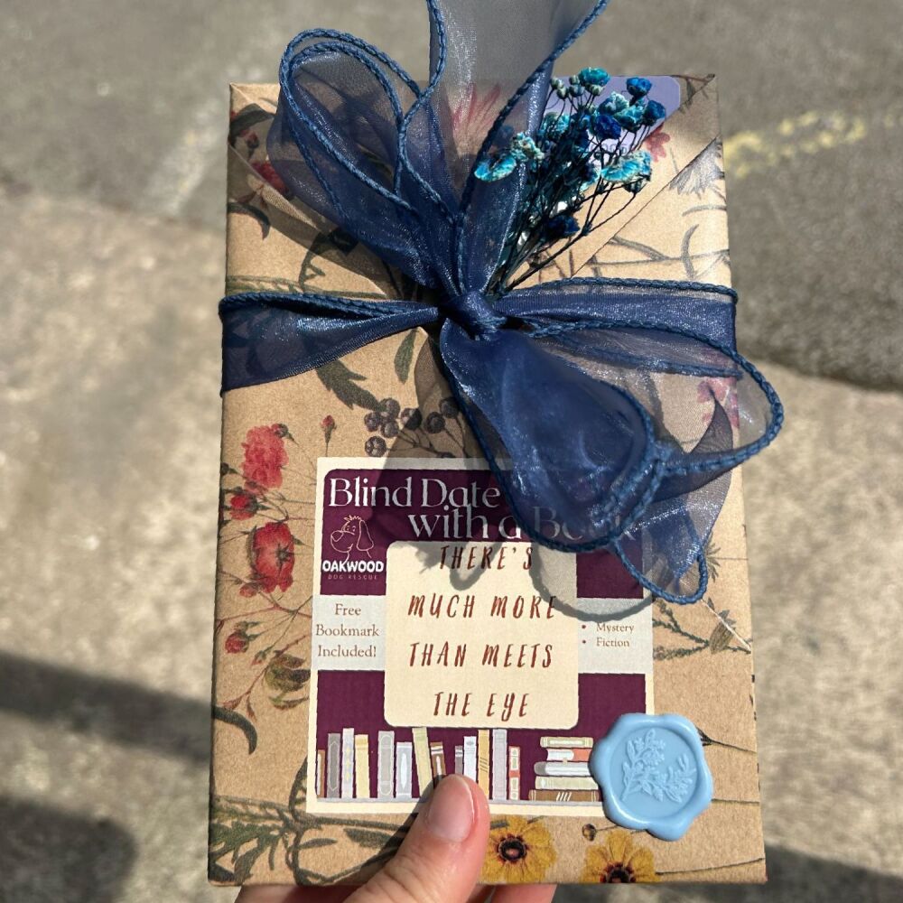 Blind Date with a Book - There's much more than meets the eye