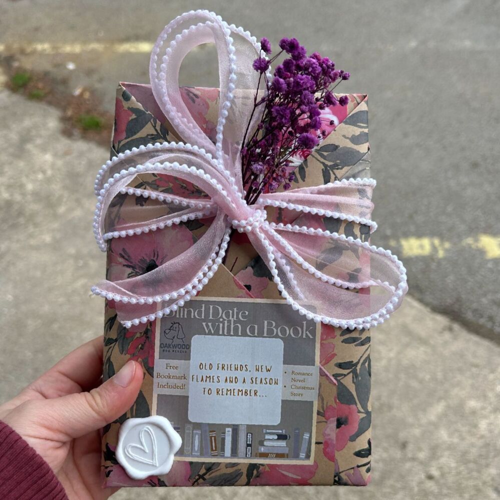 Blind Date with a Book - Old friends, new flames and a season to remember...