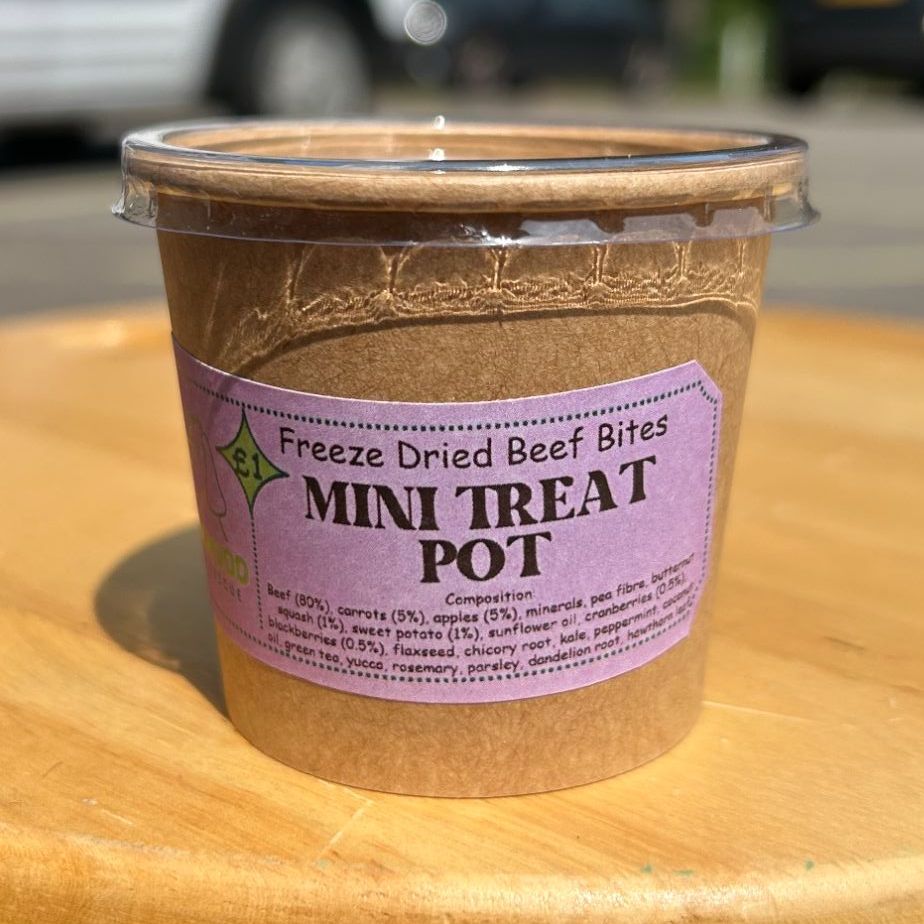 Mini Treat Pot - Freeze Dried Beef Bites