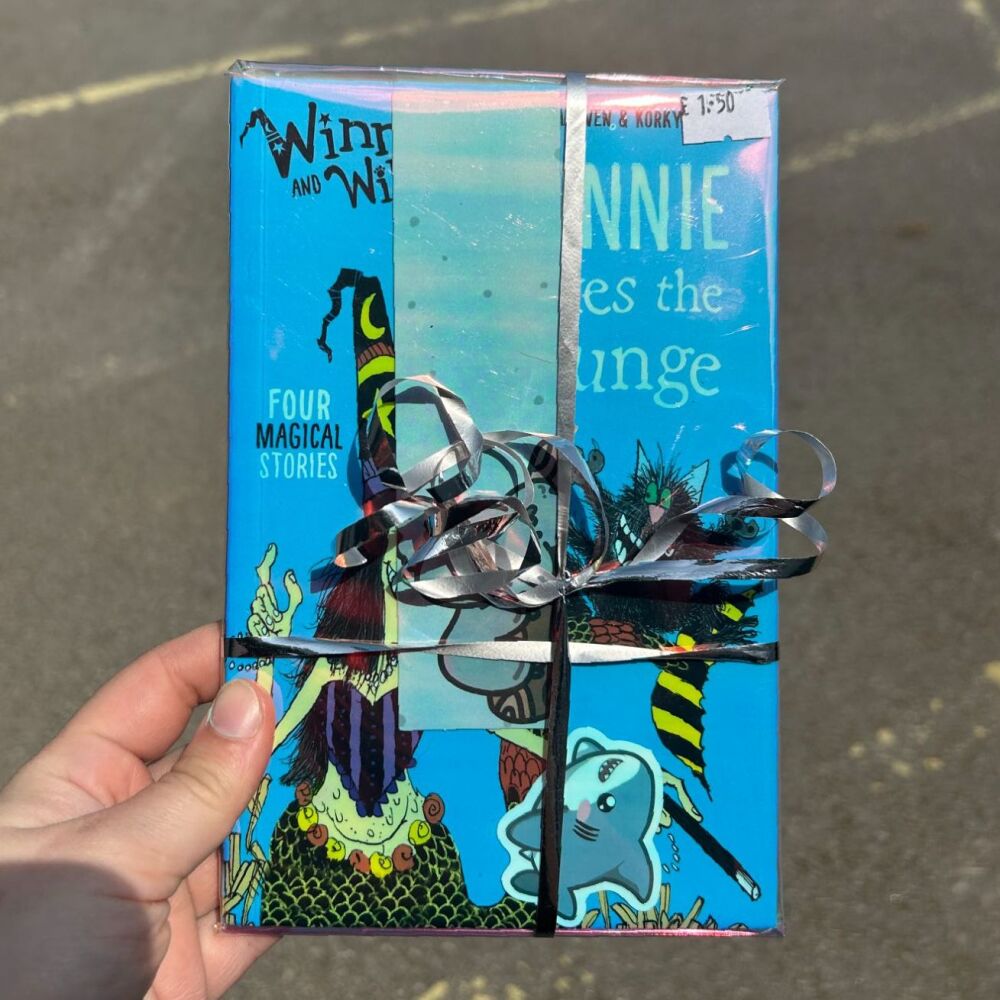Kid's book - Winnie Takes the Plunge