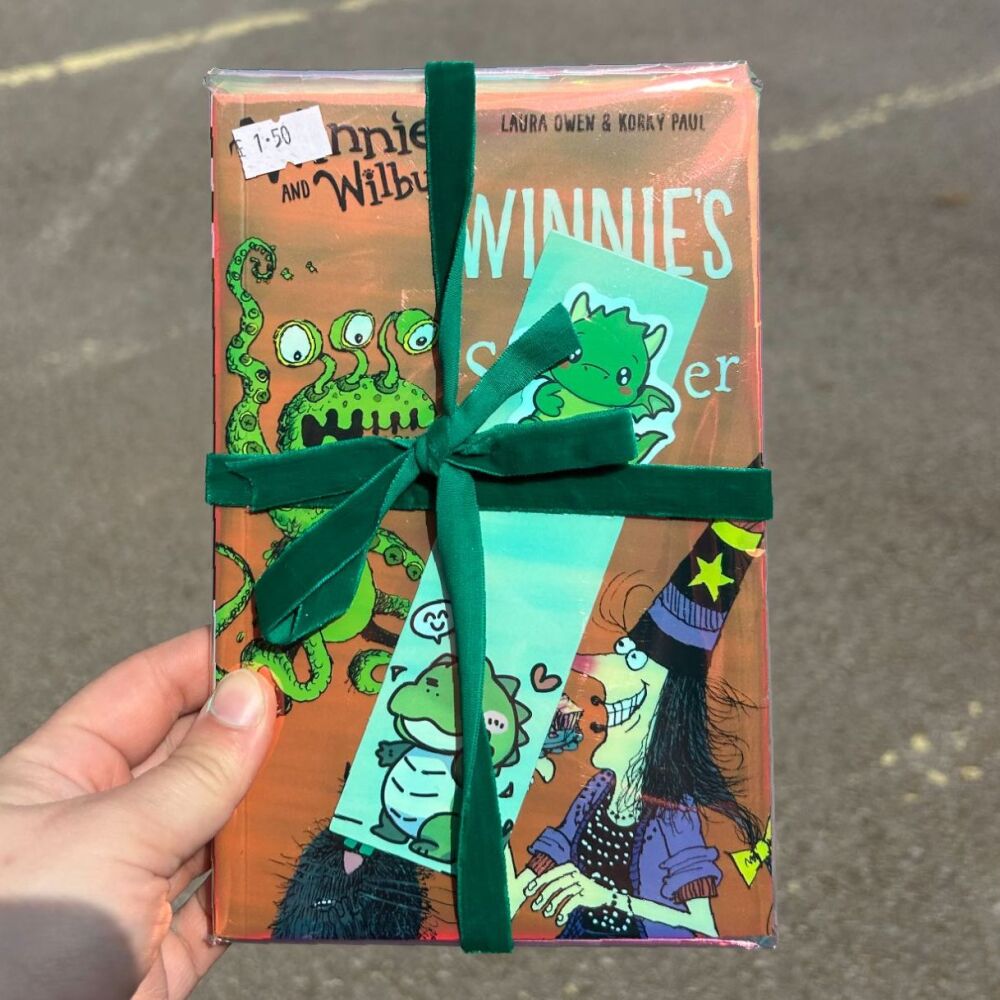 Kid's book - Winnie's Alien Sleepover
