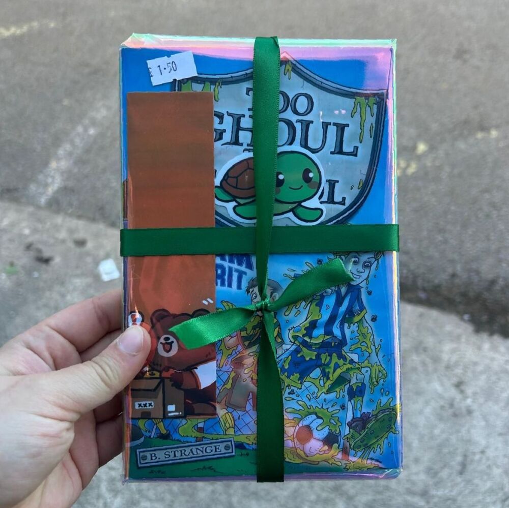 Kid's book - Too Ghoul for School Team Spirit