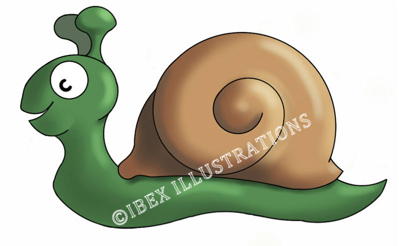 Snail c jpg