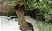 Anglian Water pollution