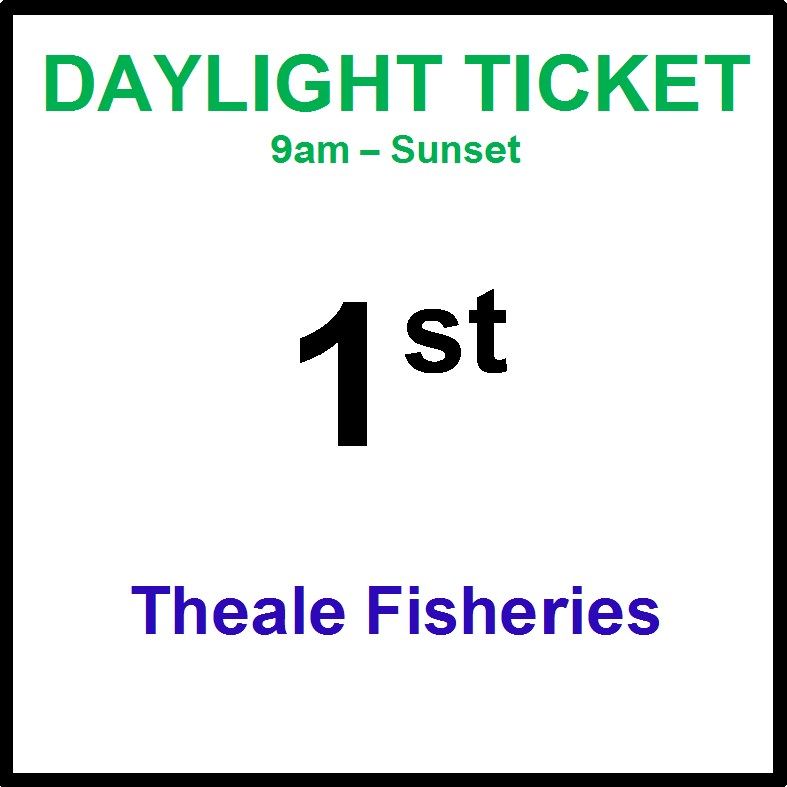 01st August daylight