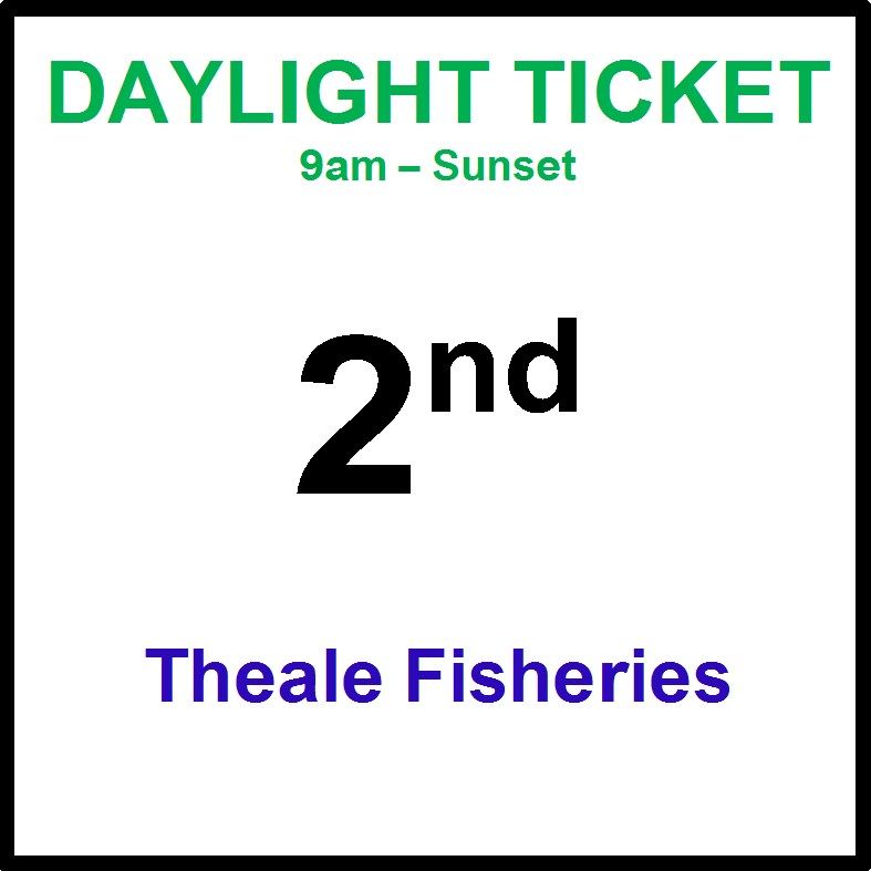 02nd August daylight