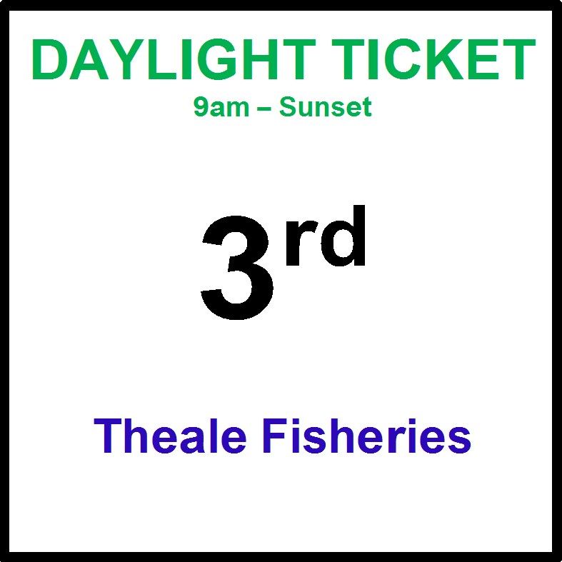03rd August daylight