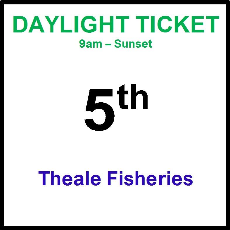 05th August daylight
