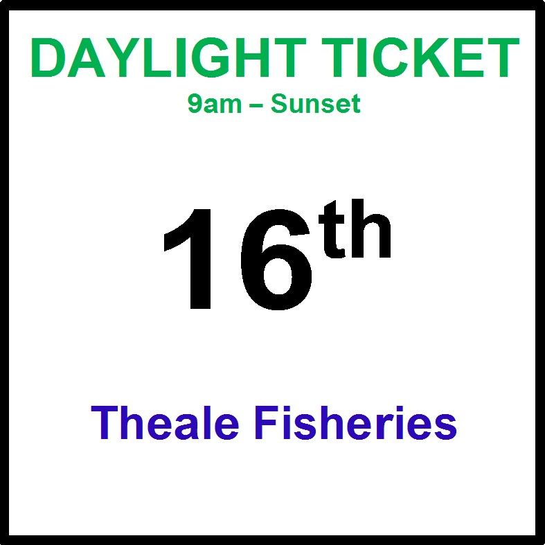 16th August daylight