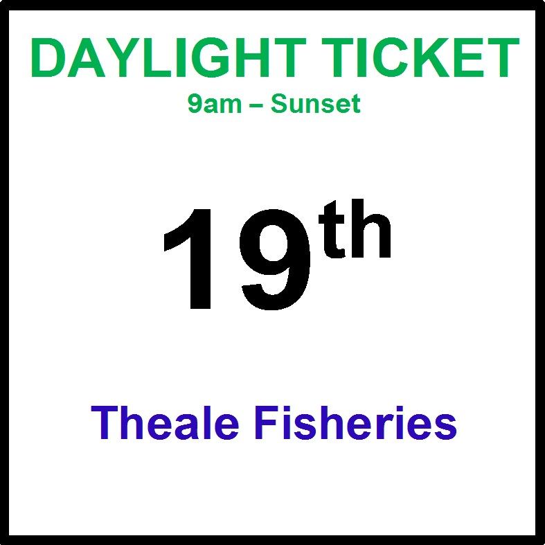 19th August daylight