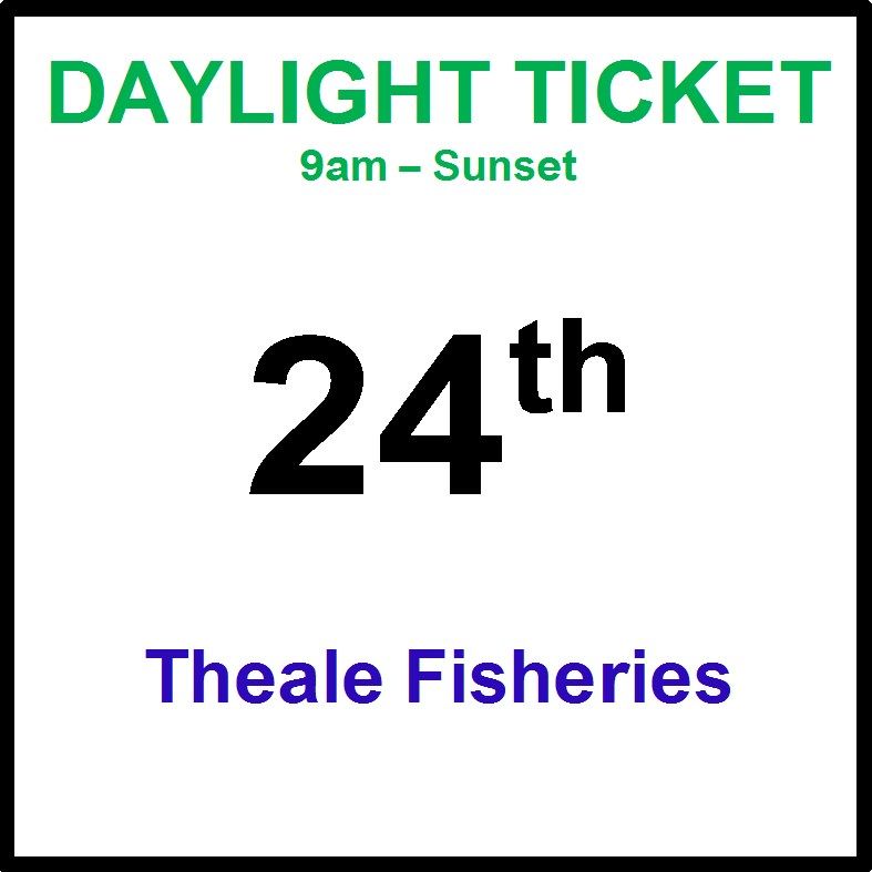 24th December daylight