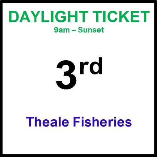 03rd February daylight