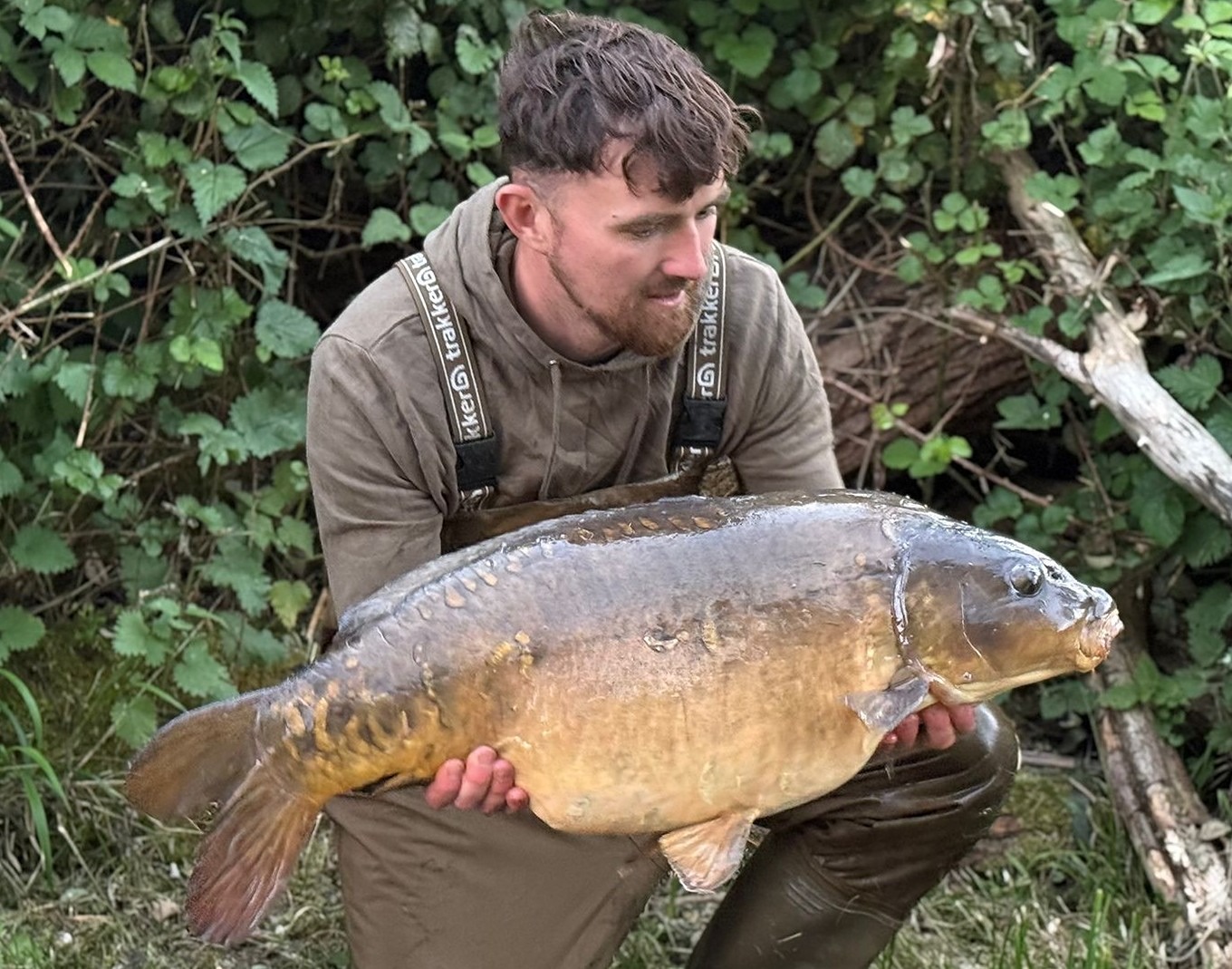 The Wasp 37lb