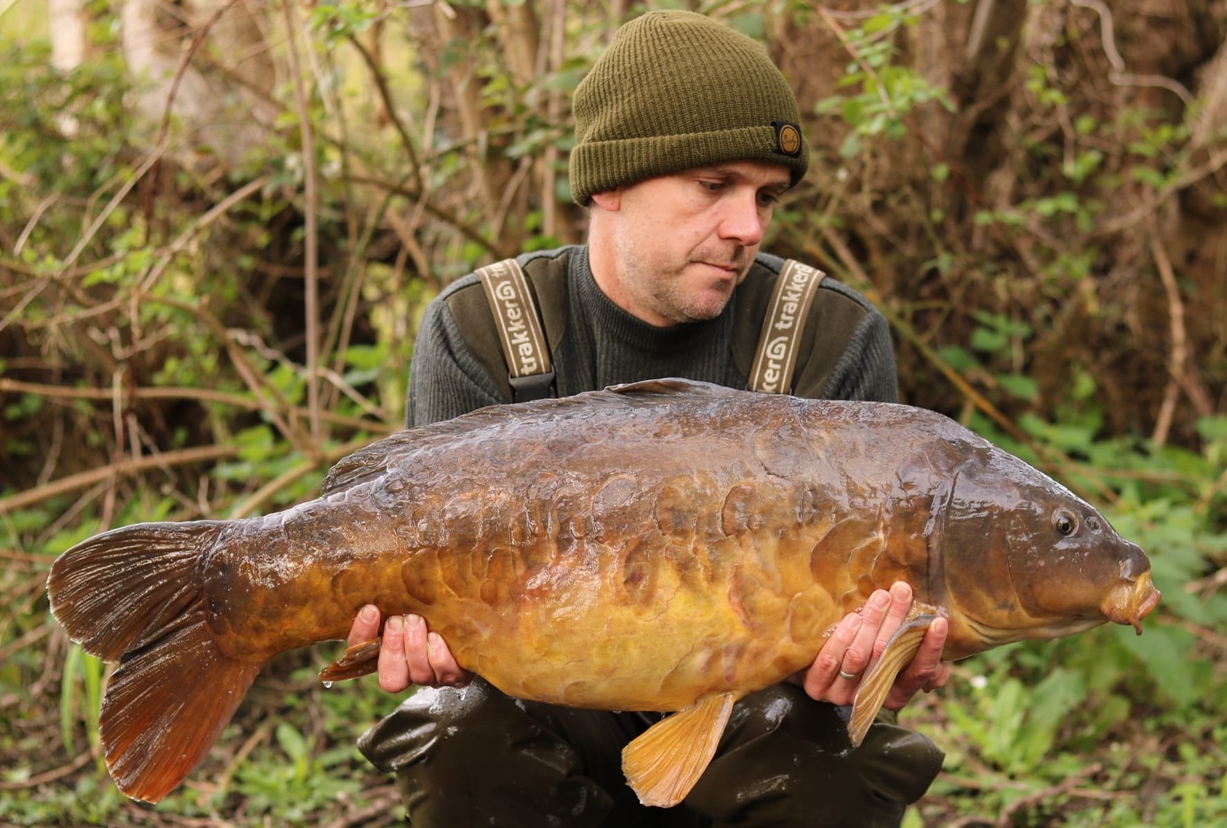 Sandfords 36lb..jpg