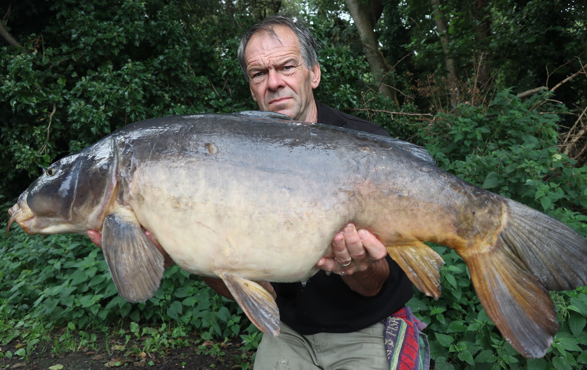 The Grey One 31lb.14oz.JPG