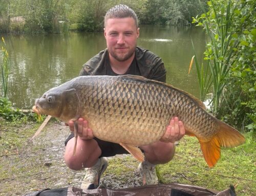 #16 31lb 7oz