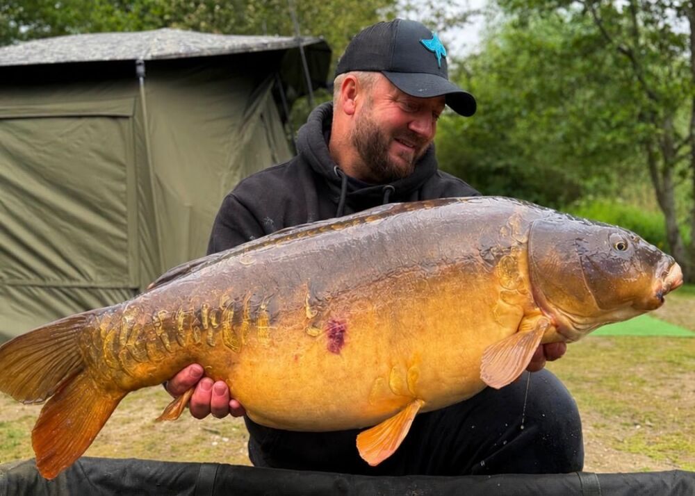 31lb 12oz