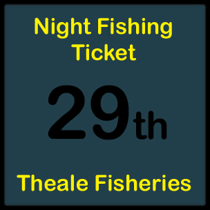 29th March (Night)