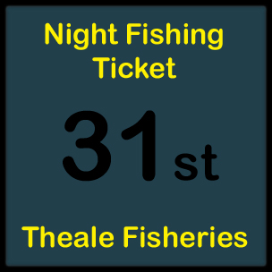 31st March (Night)