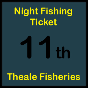 11th April (Night)