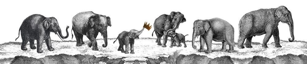 Elephant Lampshade Full Image