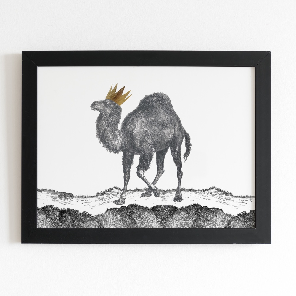 Camel Print
