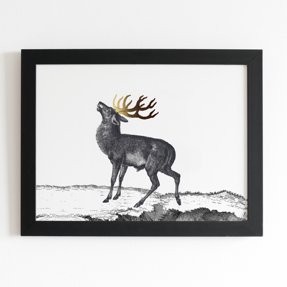 STAG! Print