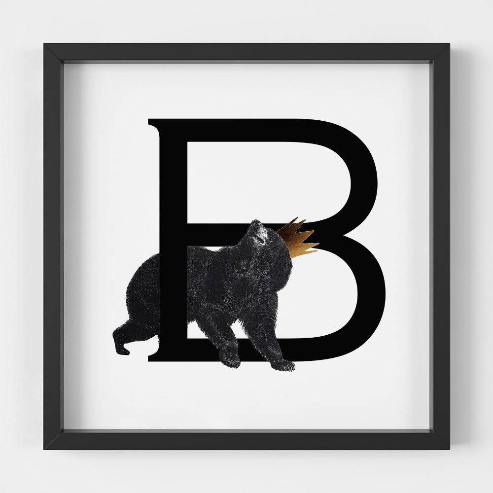 B is for Bear 