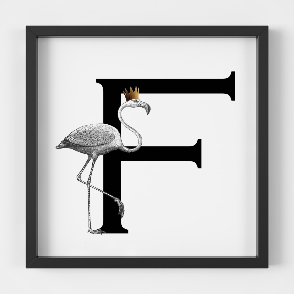 F is for Flamingos