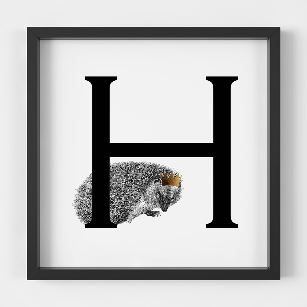H is for Hedgehog