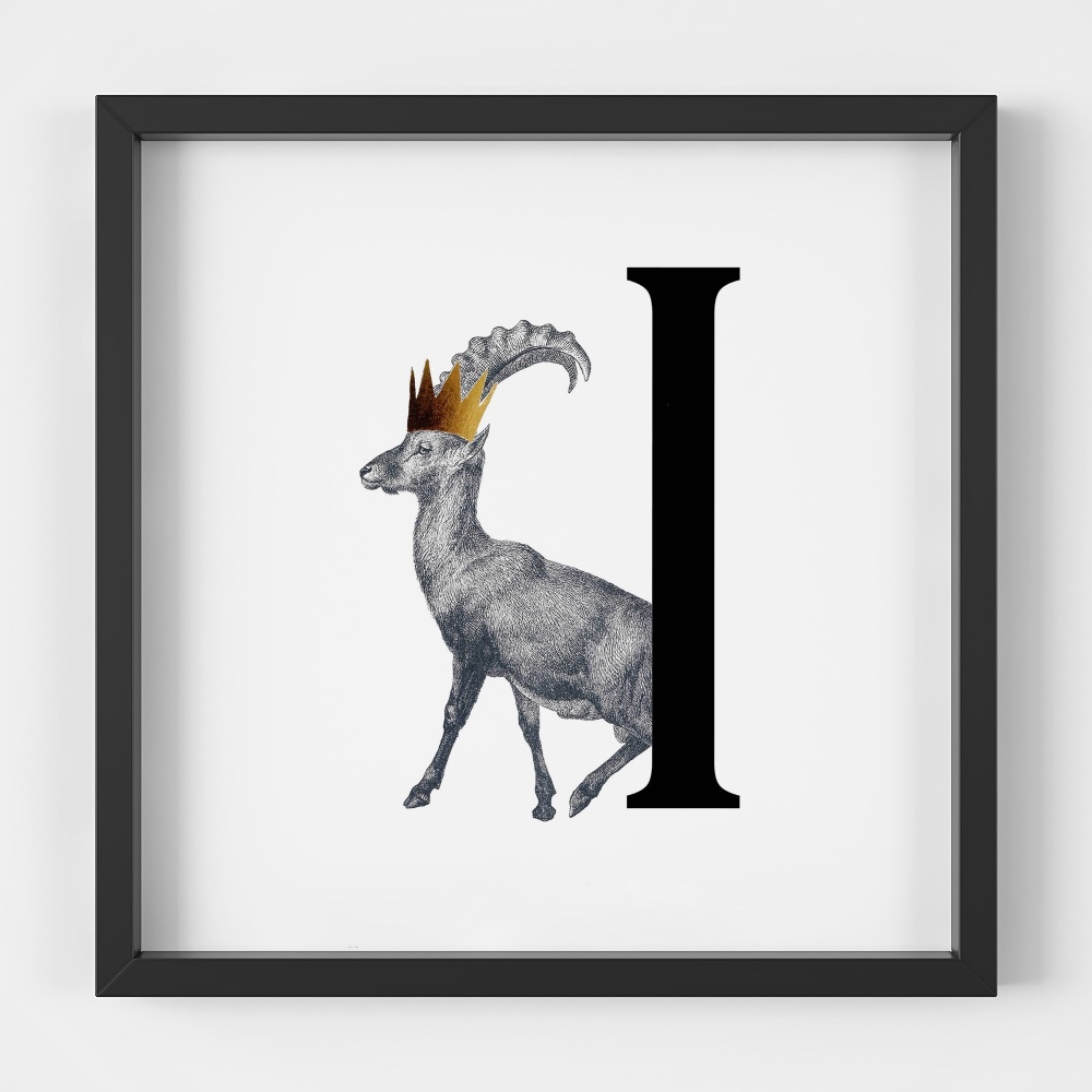 I is for Ibex