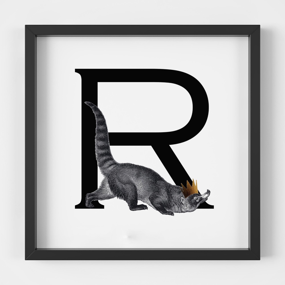 R is for Raccoon