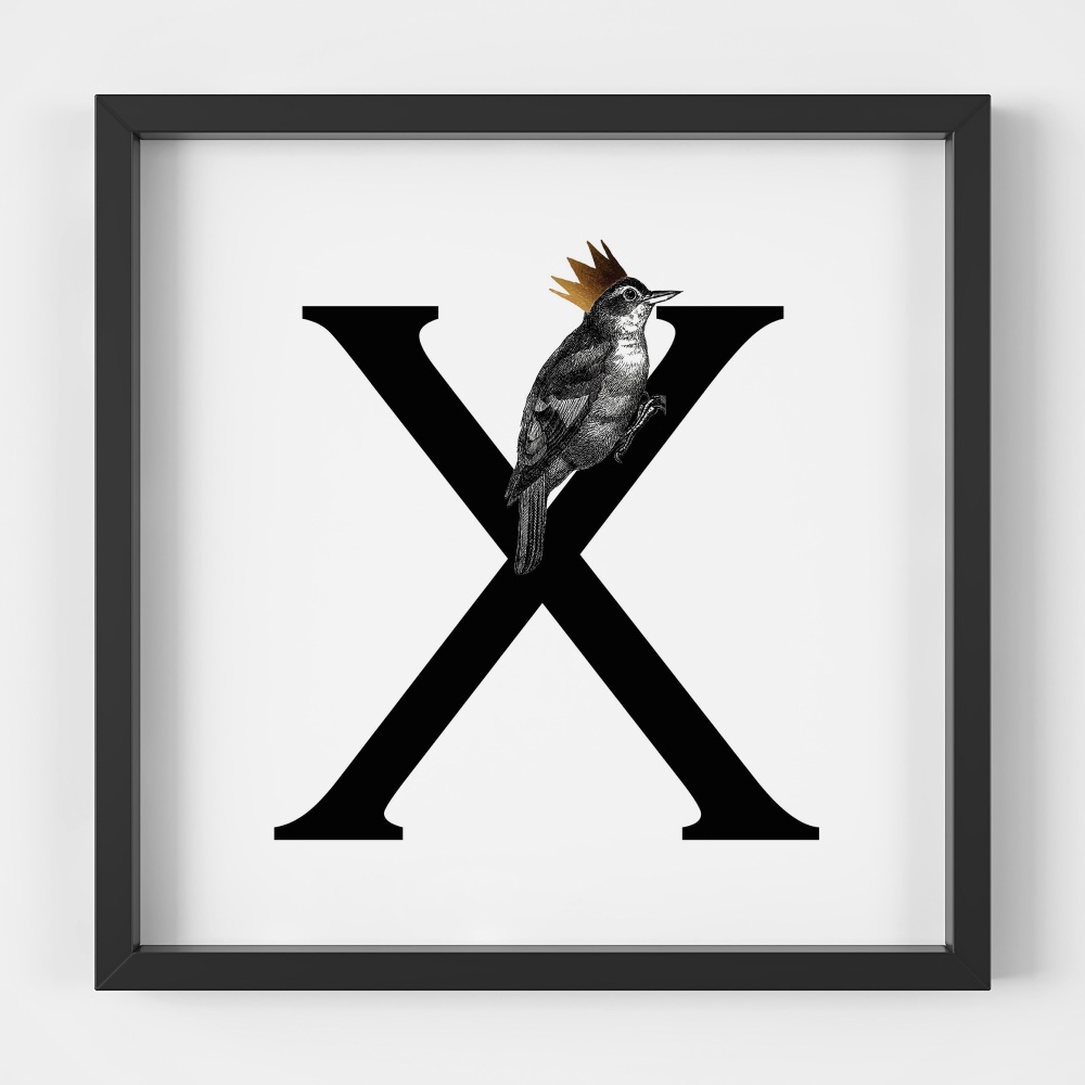 X is for Xenop