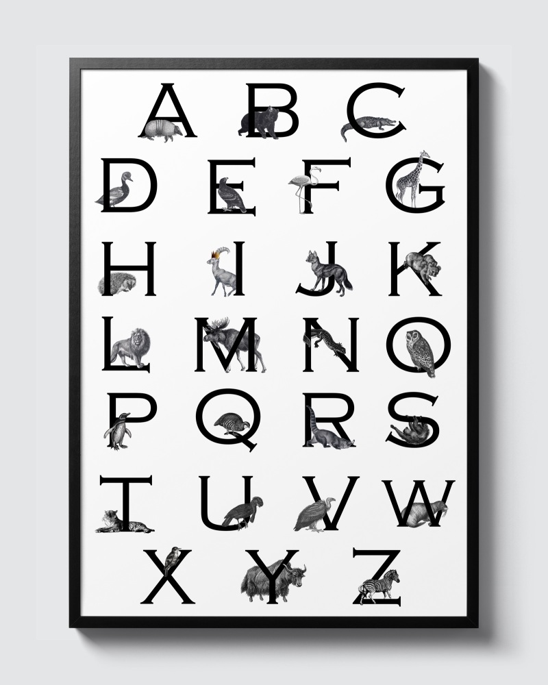 Animal Alphabet 