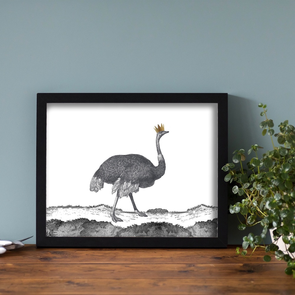 Ostrich Print - Sample