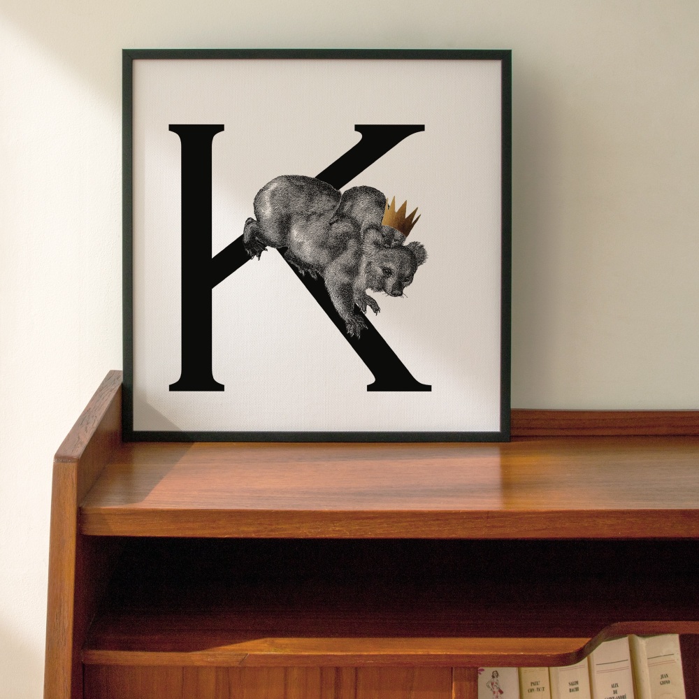 K is for Koala