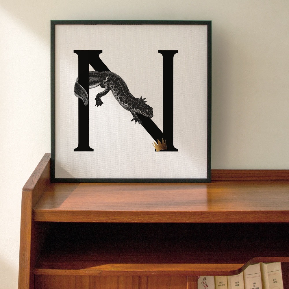 N is for Newt Personalised Initial print