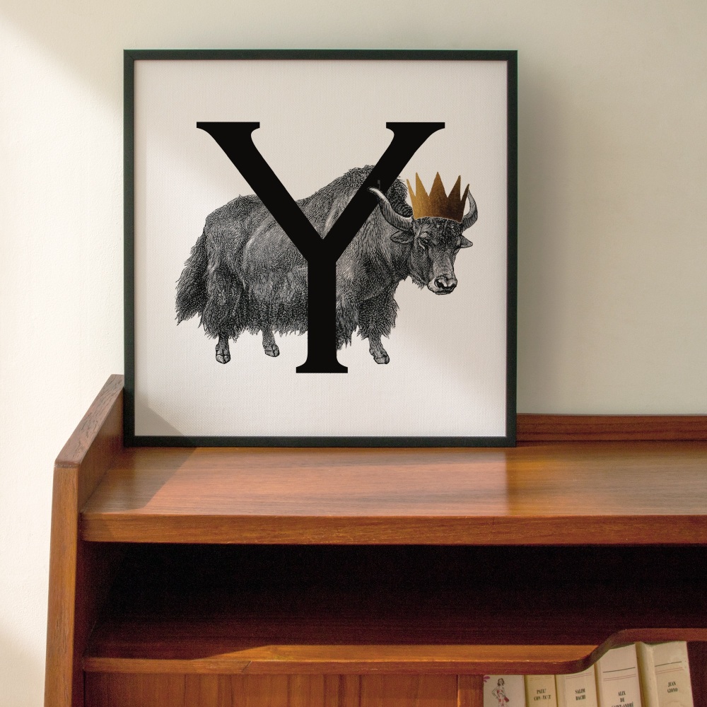 Y is for Yak