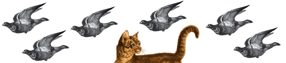 40cm Cat among the Pigeons Shade