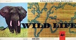 'Wild Life' Board Game