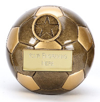 Premier 3D Ball from £3.49 - £8.99