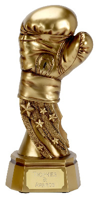 Golden Glove Trophy A1082A 15cm