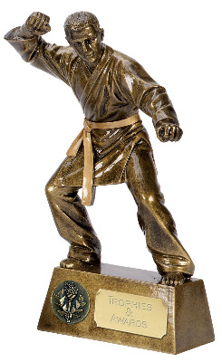 Pinnacle Karate Trophy A1385A 15cm
