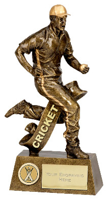 Pinnacle Cricket Fielding Trophy A1256D 24cm