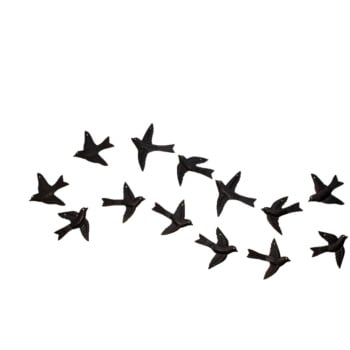 10x Birds 3D Wall Art - Freedom - Flock of Birds 
