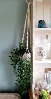  Macrame pot holder in cream with queen bee pot holder (plant not included)